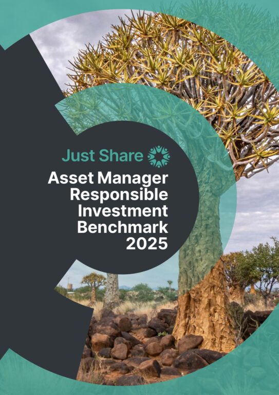 Asset Manager RI Benchmark 2025_page-0001