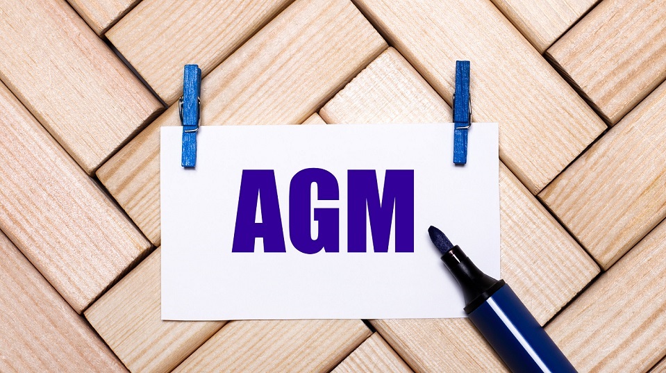 On a wooden background, a white card with the text AGM Annual General Meeting on blue clothespins and a blue marker. View from above